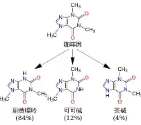 关于郑钦文即将开启常规赛调引热议的信息 关于郑钦文即将开启常规赛调引热议的信息