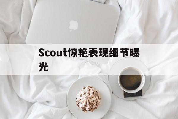 Scout惊艳表现细节曝光(1993年鸡阴历6月29日生)